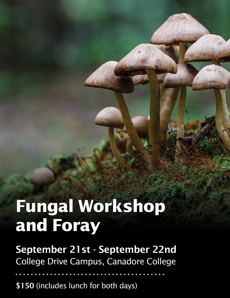 Fungal Workshop